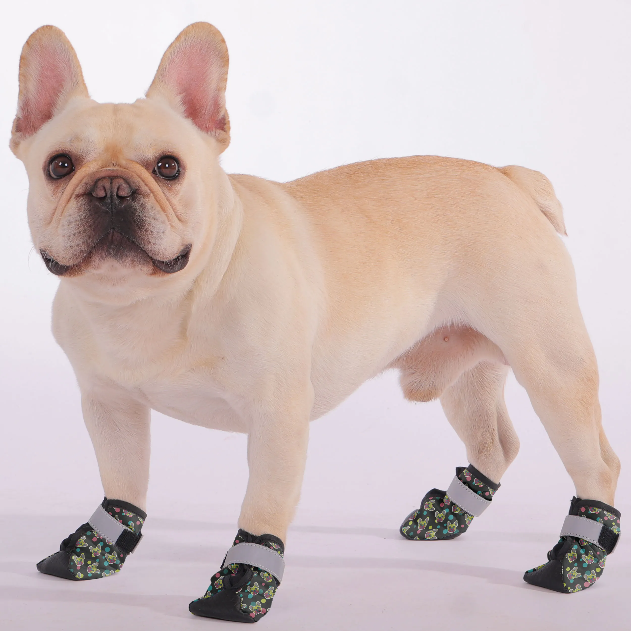 Benny - Premium Dog Socks & Boots for French Bulldogs