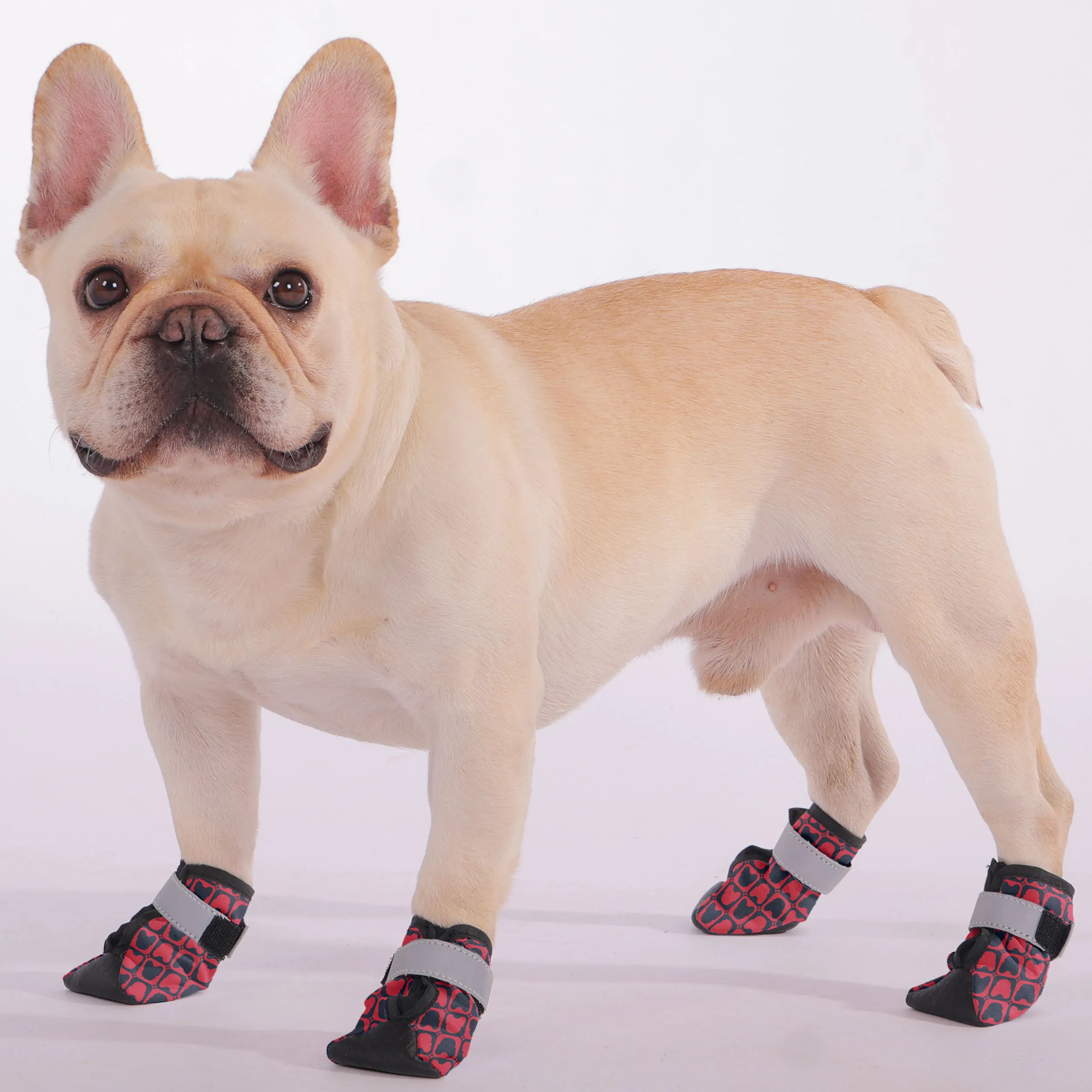 Buster - Premium Dog Socks & Boots for French Bulldogs