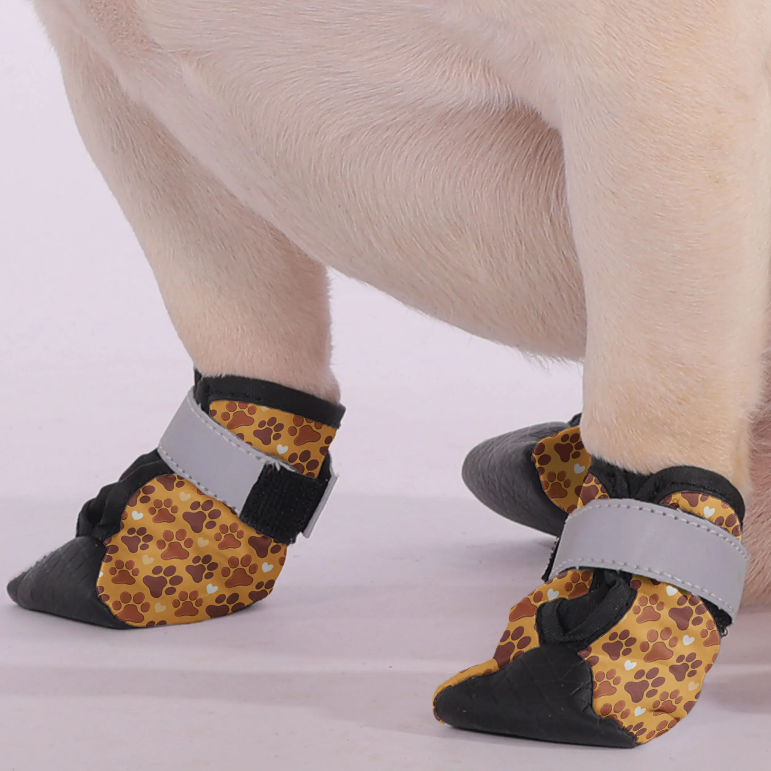 Cardi - Premium Dog Socks & Boots for French Bulldogs