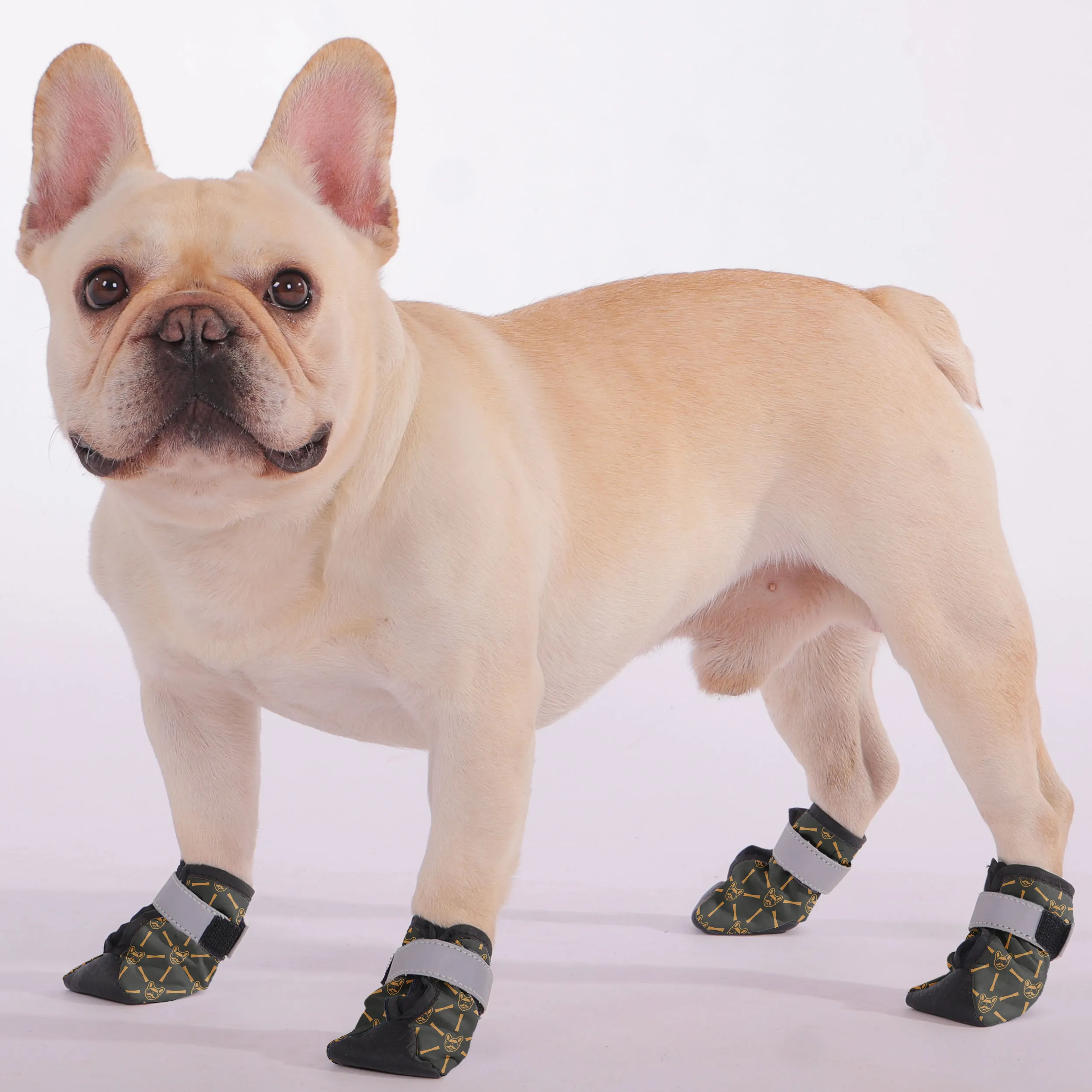 Claude - Premium Dog Socks & Boots for French Bulldogs