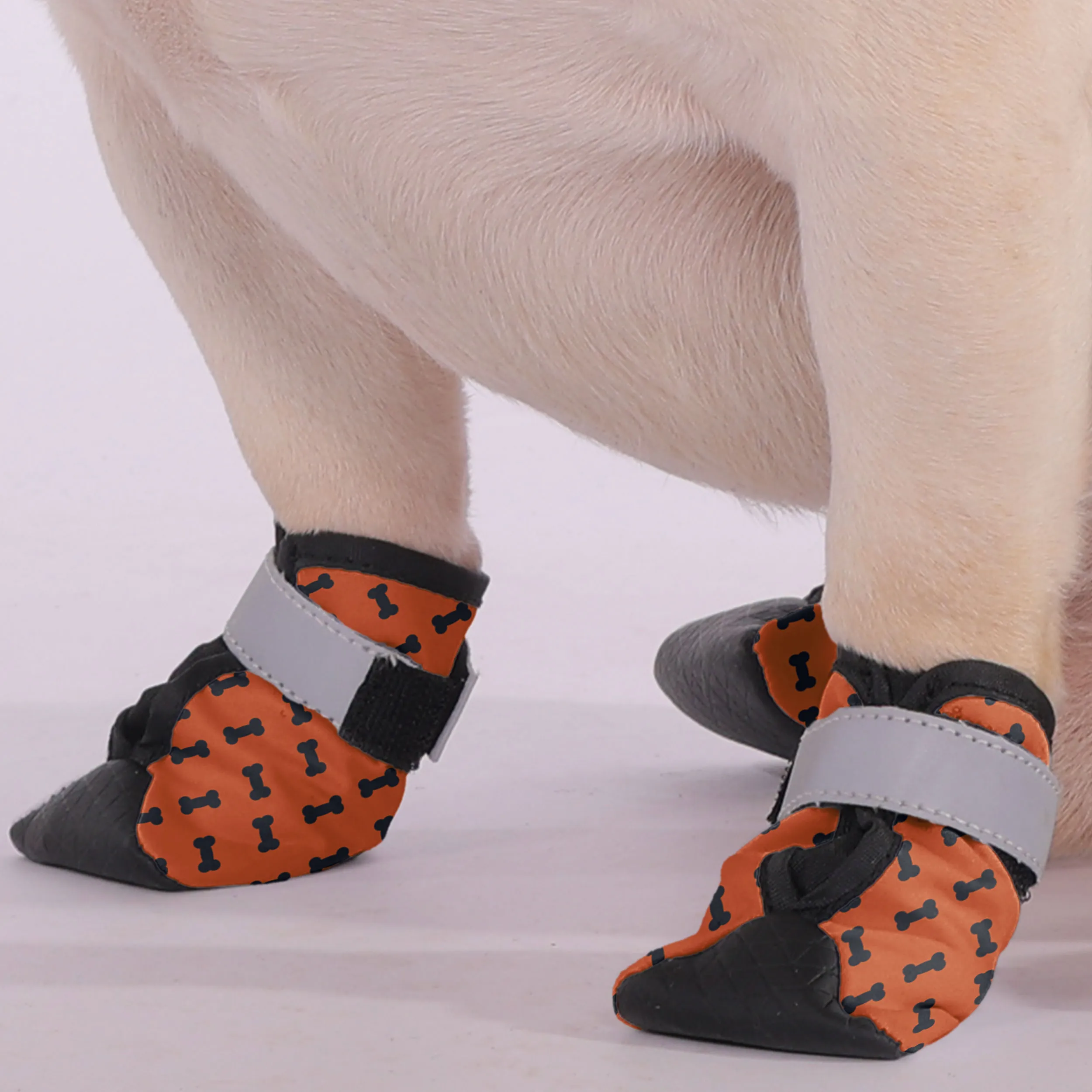 Taylor - Premium Dog Socks & Boots for French Bulldogs