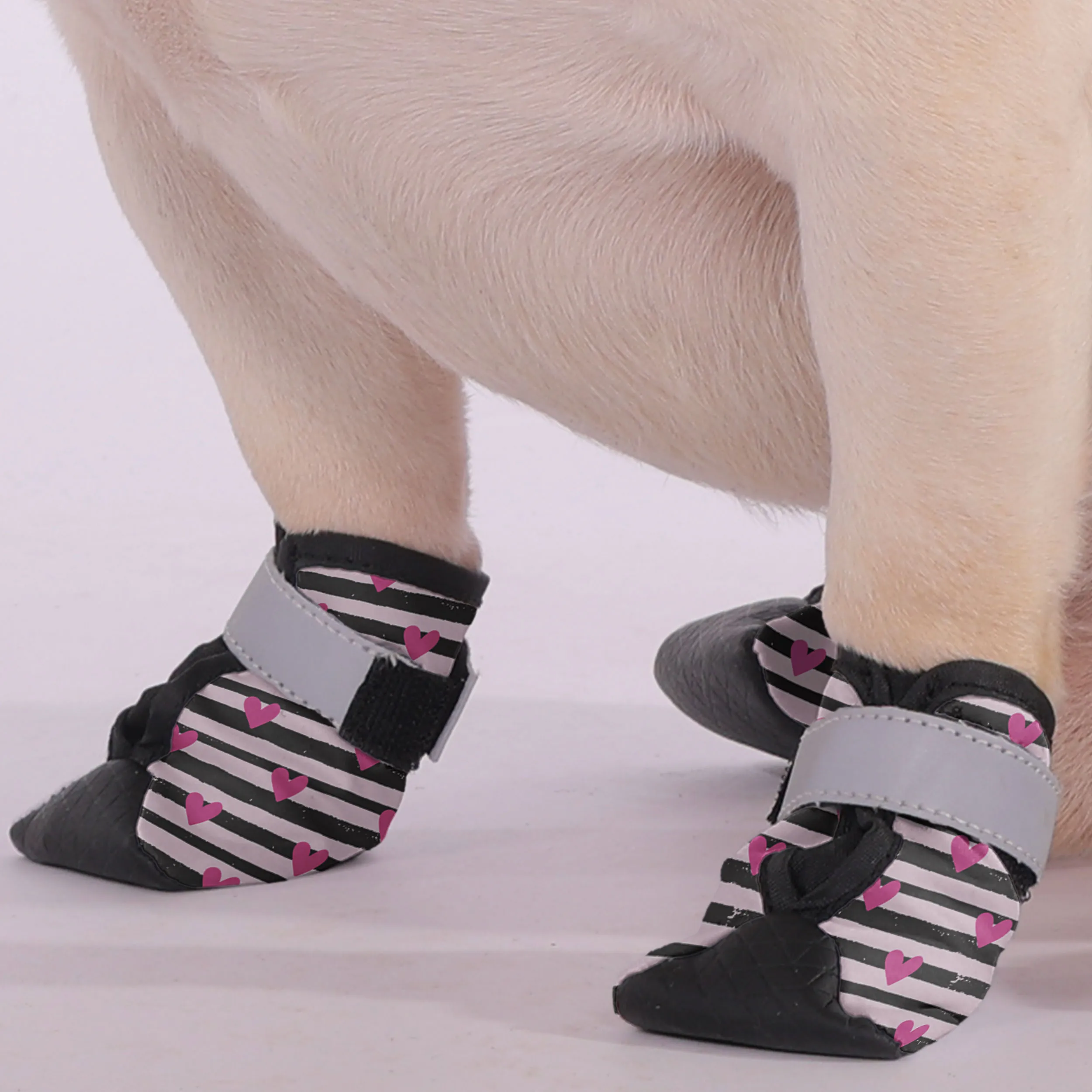 Tofu - Premium Dog Socks & Boots for French Bulldogs