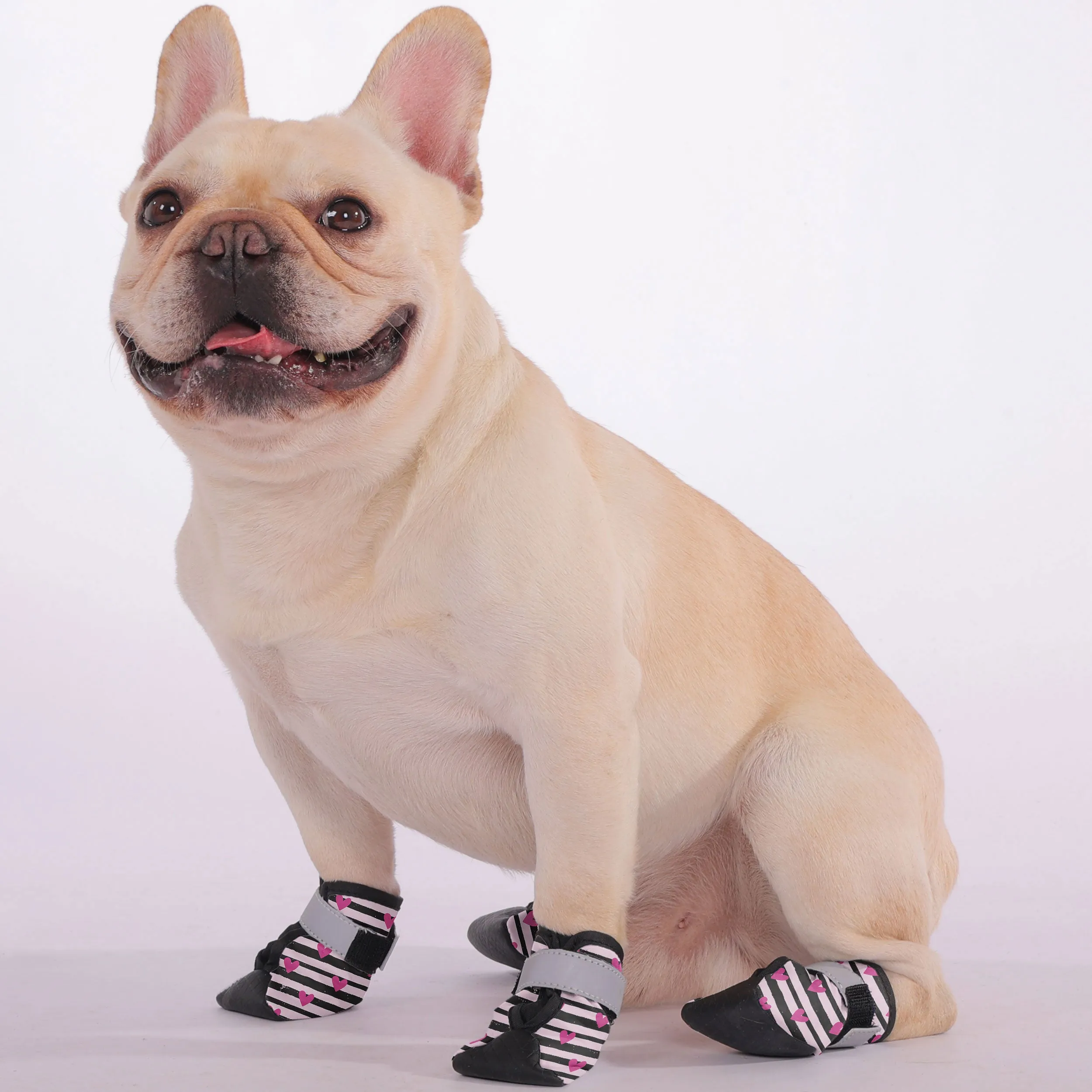 Tofu - Premium Dog Socks & Boots for French Bulldogs