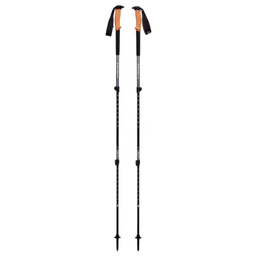 Trail Cork Trekking Poles by Black Diamond